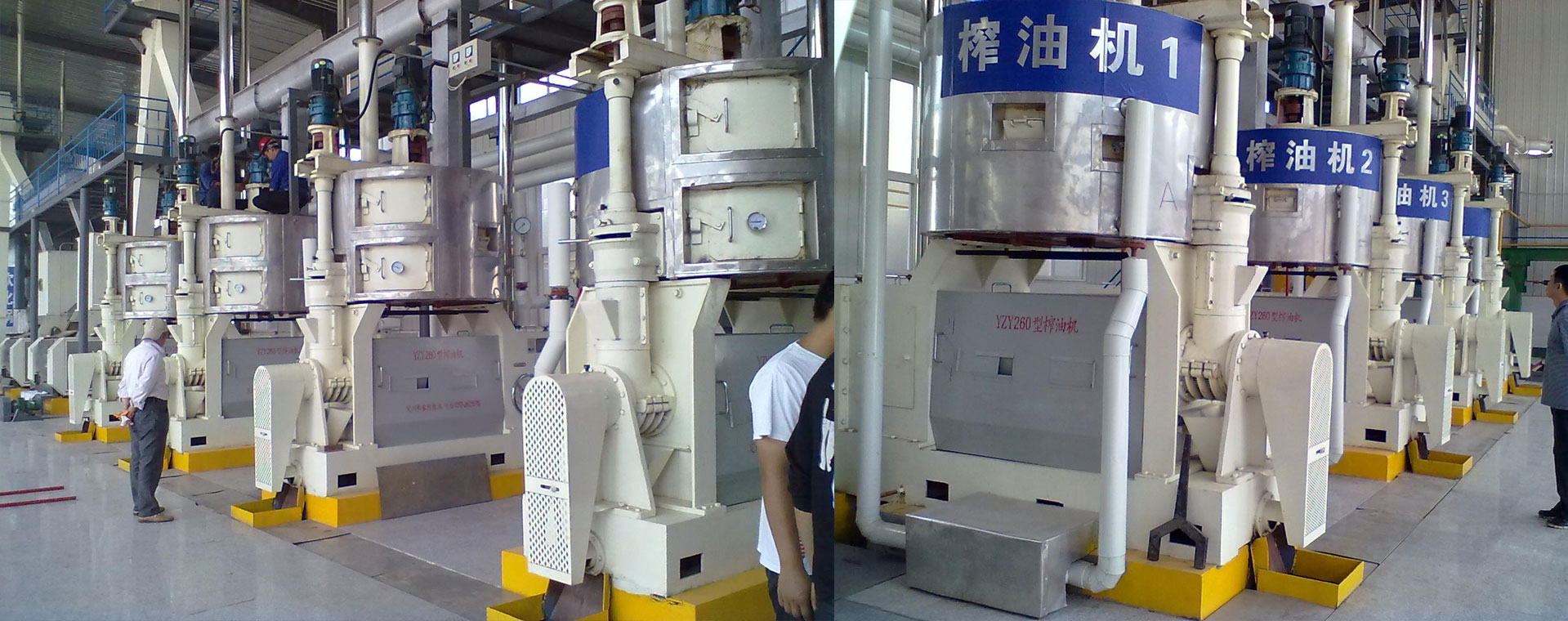 oil press machine