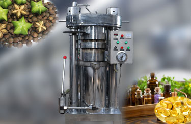 Health Essential Oil Press