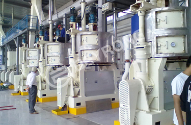 Oil Production Line
