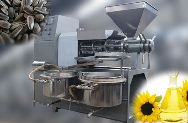 Sunflower Oil Press